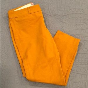 Banana Republic Sloan Fit-petit